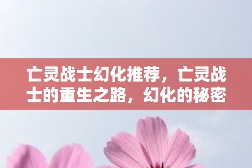 亡灵战士幻化推荐，亡灵战士的重生之路，幻化的秘密与挑战