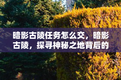 暗影古陵任务怎么交，暗影古陵，探寻神秘之地背后的故事与传说