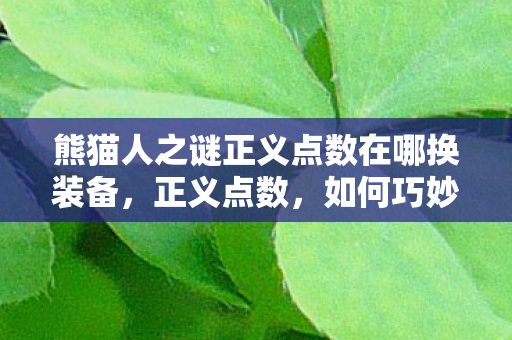熊猫人之谜正义点数在哪换装备，正义点数，如何巧妙换取装备，提升游戏体验