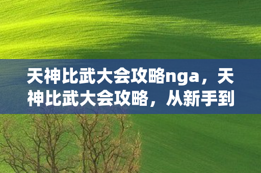 天神比武大会攻略nga，天神比武大会攻略，从新手到巅峰的全面指南