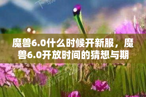 魔兽6.0什么时候开新服，魔兽6.0开放时间的猜想与期待