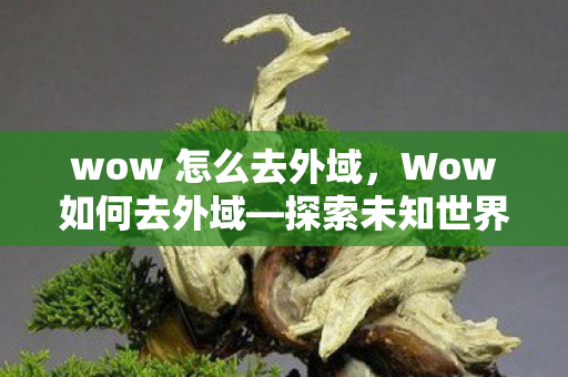 wow 怎么去外域，Wow如何去外域—探索未知世界的指南