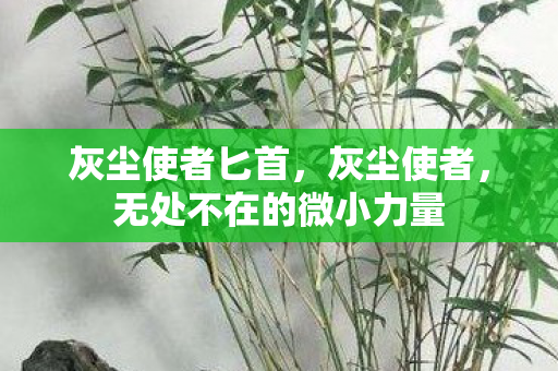 灰尘使者匕首，灰尘使者，无处不在的微小力量