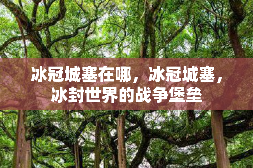 冰冠城塞在哪，冰冠城塞，冰封世界的战争堡垒