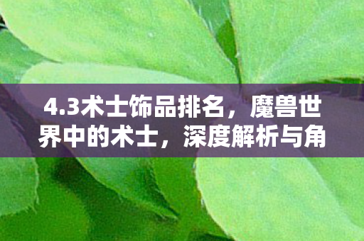 4.3术士饰品排名，魔兽世界中的术士，深度解析与角色体验