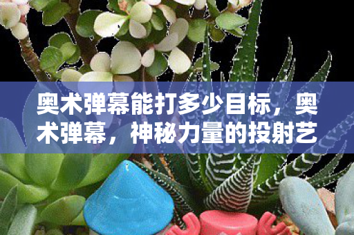 奥术弹幕能打多少目标，奥术弹幕，神秘力量的投射艺术