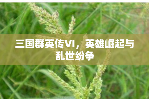 三国群英传VI,英雄崛起与乱世纷争