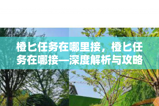橙匕任务在哪里接，橙匕任务在哪接—深度解析与攻略