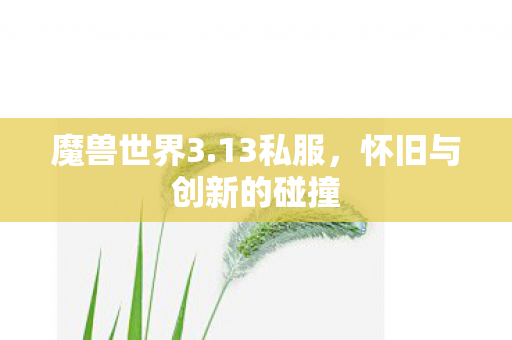 魔兽世界3.13私服，怀旧与创新的碰撞