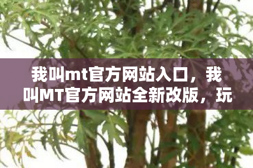 我叫mt官方网站入口，我叫MT官方网站全新改版，玩家体验再升级