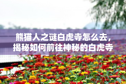 熊猫人之谜白虎寺怎么去，揭秘如何前往神秘的白虎寺