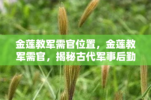金莲教军需官位置，金莲教军需官，揭秘古代军事后勤的枢纽人物