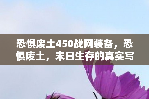 恐惧废土450战网装备，恐惧废土，末日生存的真实写照