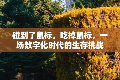 碰到了鼠标，吃掉鼠标，一场数字化时代的生存挑战