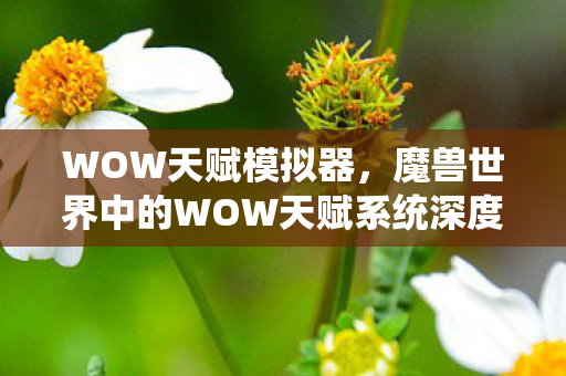 WOW天赋模拟器，魔兽世界中的WOW天赋系统深度解析