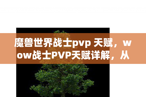 魔兽世界战士pvp 天赋，wow战士PVP天赋详解，从入门到精通