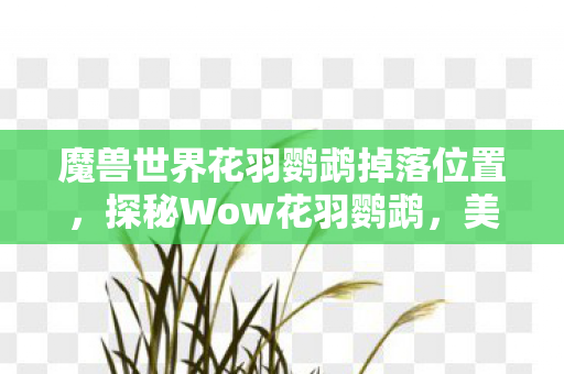 魔兽世界花羽鹦鹉掉落位置，探秘Wow花羽鹦鹉，美丽与智慧的完美结合