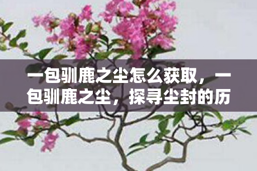 一包驯鹿之尘怎么获取，一包驯鹿之尘，探寻尘封的历史与神秘传说