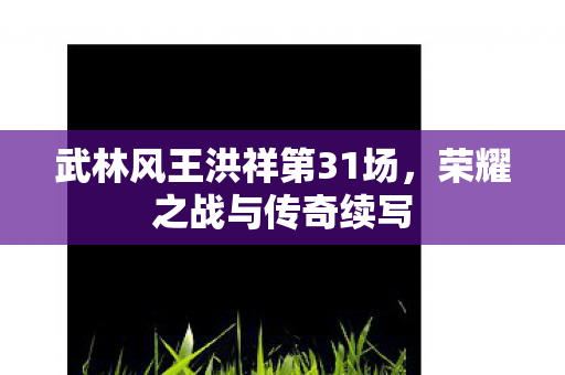 武林风王洪祥第31场，荣耀之战与传奇续写