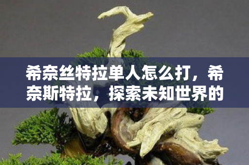 希奈丝特拉单人怎么打，希奈斯特拉，探索未知世界的先驱者