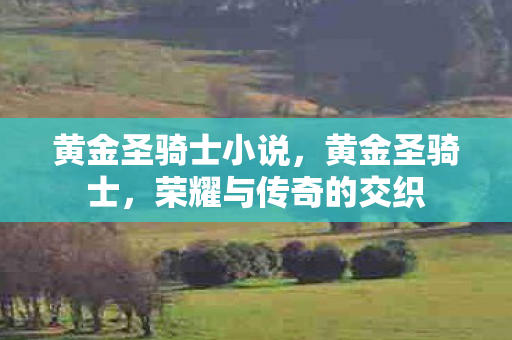 黄金圣骑士小说，黄金圣骑士，荣耀与传奇的交织