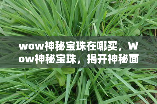 wow神秘宝珠在哪买，Wow神秘宝珠，揭开神秘面纱下的无尽魅力