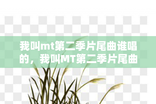 我叫mt第二季片尾曲谁唱的，我叫MT第二季片尾曲，探寻未知的旅程之歌