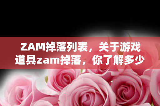ZAM掉落列表，关于游戏道具zam掉落，你了解多少？一篇文章带你探究其背后奥秘！