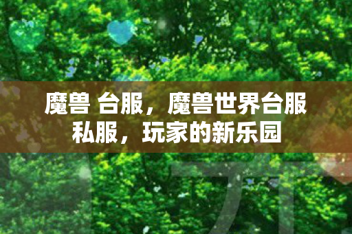 魔兽 台服，魔兽世界台服私服，玩家的新乐园