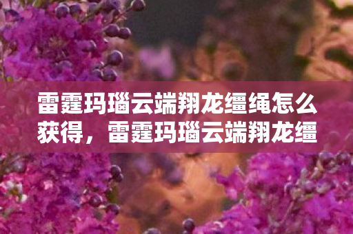 雷霆玛瑙云端翔龙缰绳怎么获得，雷霆玛瑙云端翔龙缰绳，探索未知的神秘力量