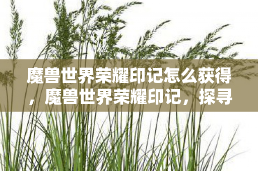 魔兽世界荣耀印记怎么获得，魔兽世界荣耀印记，探寻经典背后的故事与情感