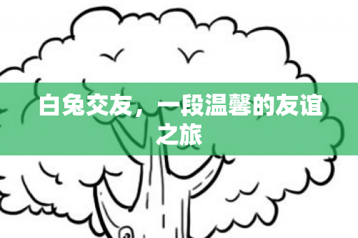 白兔交友，一段温馨的友谊之旅