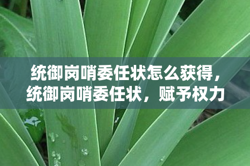 统御岗哨委任状怎么获得，统御岗哨委任状，赋予权力的荣誉与责任