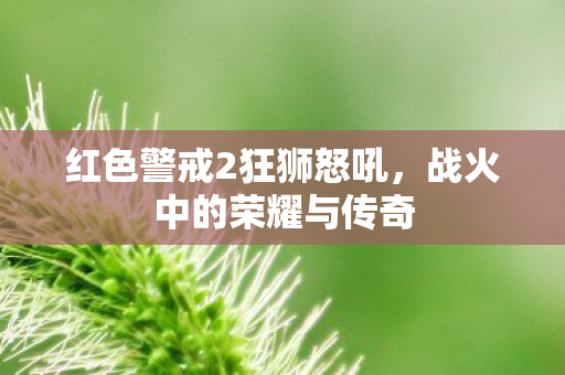 红色警戒2狂狮怒吼，战火中的荣耀与传奇