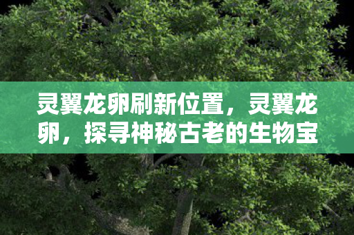 灵翼龙卵刷新位置，灵翼龙卵，探寻神秘古老的生物宝藏