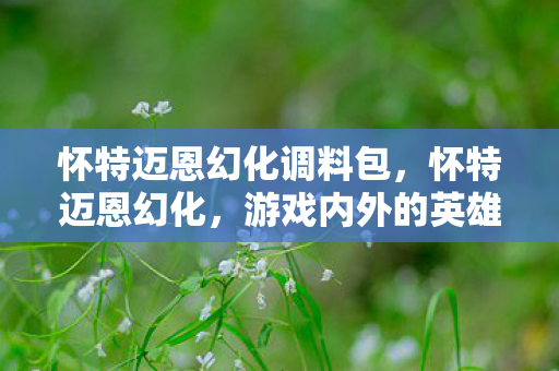 怀特迈恩幻化调料包，怀特迈恩幻化，游戏内外的英雄形象重塑与探索