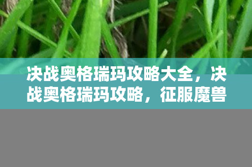 决战奥格瑞玛攻略大全，决战奥格瑞玛攻略，征服魔兽世界的终极挑战
