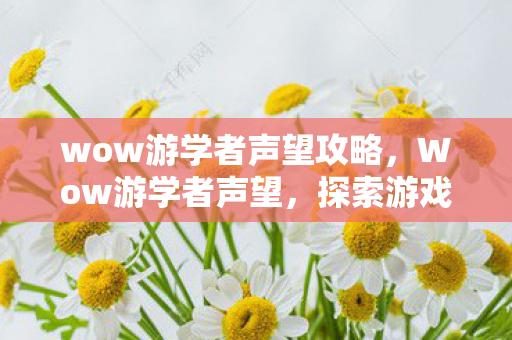 wow游学者声望攻略，Wow游学者声望，探索游戏中的知识殿堂