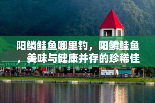 阳鳞鲑鱼哪里钓，阳鳞鲑鱼，美味与健康并存的珍稀佳肴