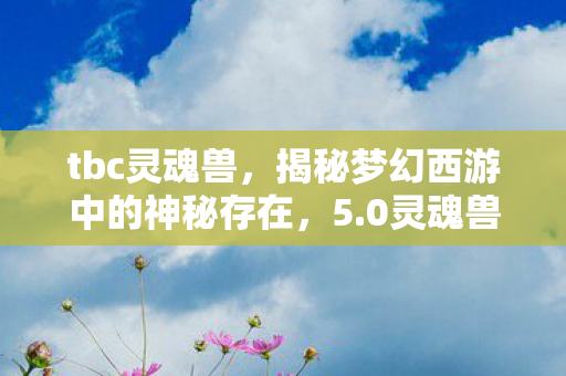 tbc灵魂兽，揭秘梦幻西游中的神秘存在，5.0灵魂兽