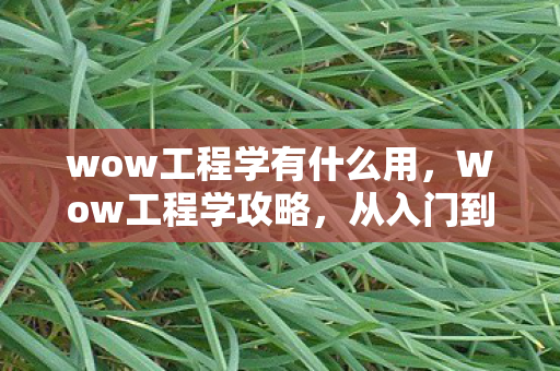 wow工程学有什么用，Wow工程学攻略，从入门到精通