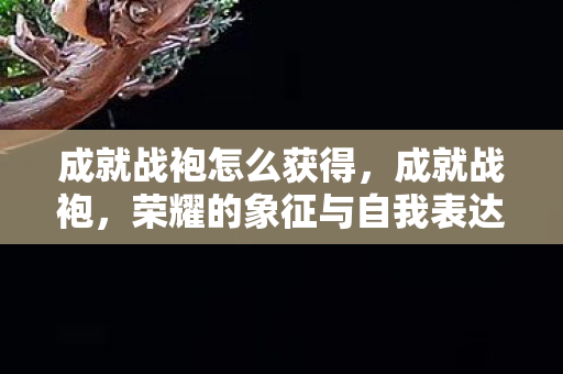 成就战袍怎么获得，成就战袍，荣耀的象征与自我表达的舞台