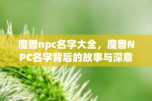 魔兽npc名字大全，魔兽NPC名字背后的故事与深意