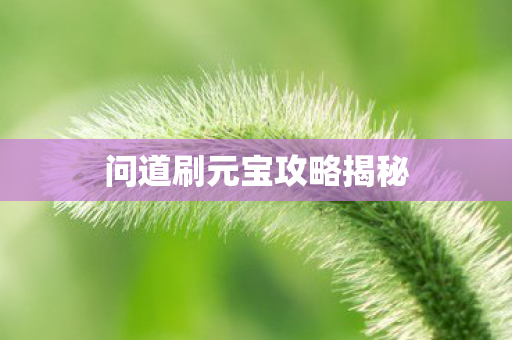 问道刷元宝攻略揭秘