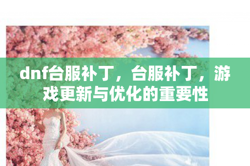 dnf台服补丁，台服补丁，游戏更新与优化的重要性