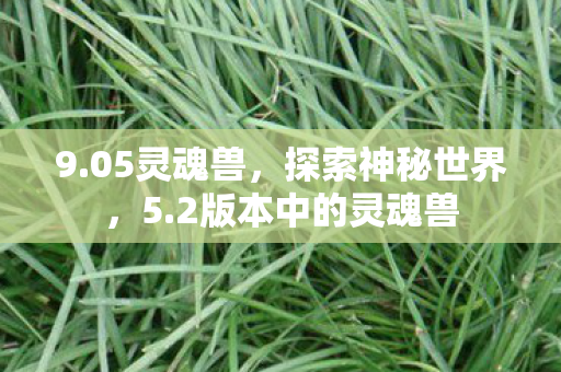 9.05灵魂兽，探索神秘世界，5.2版本中的灵魂兽