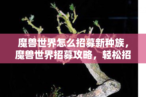 魔兽世界怎么招募新种族，魔兽世界招募攻略，轻松招募强力队友，打造无敌团队！