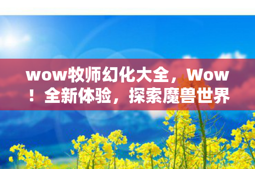 wow牧师幻化大全，Wow！全新体验，探索魔兽世界中的牧师幻化之旅