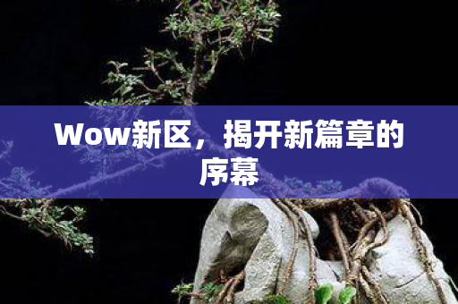 Wow新区，揭开新篇章的序幕