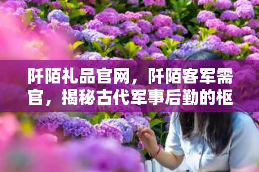 阡陌礼品官网，阡陌客军需官，揭秘古代军事后勤的枢纽角色